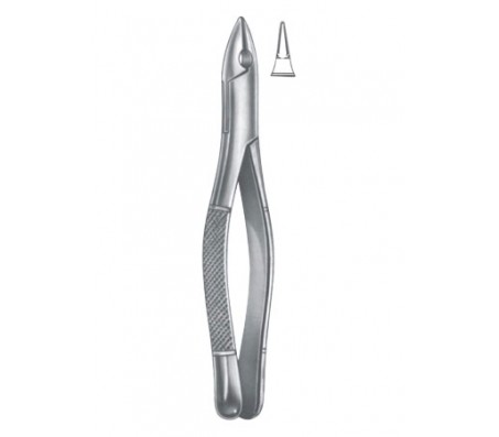 Extracting Forceps